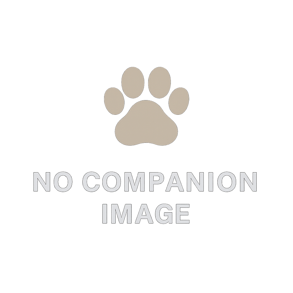 Companion Portrait